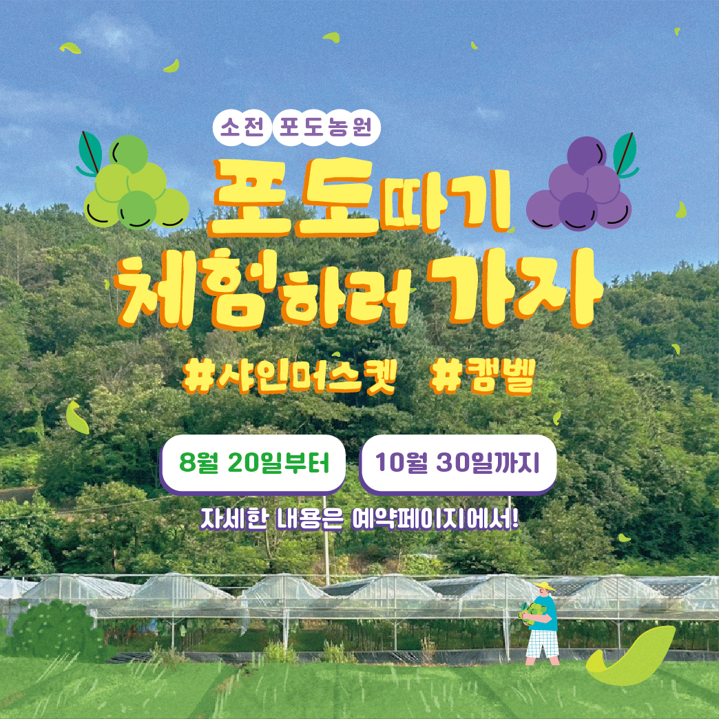 팝업